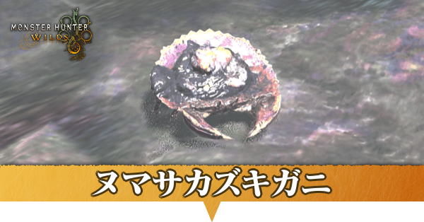 ヌマサカズキガニはどこにいる？捕獲方法