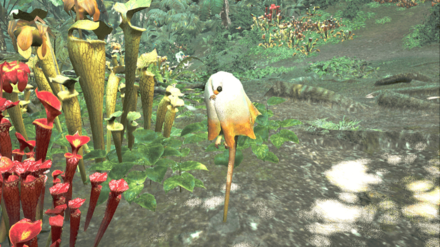 ハナショウジョウの効果と使い方