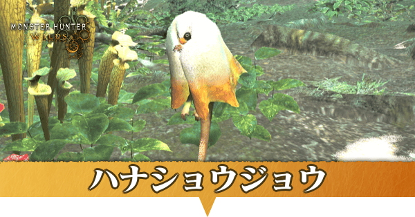 ハナショウジョウはどこにいる？捕獲方法