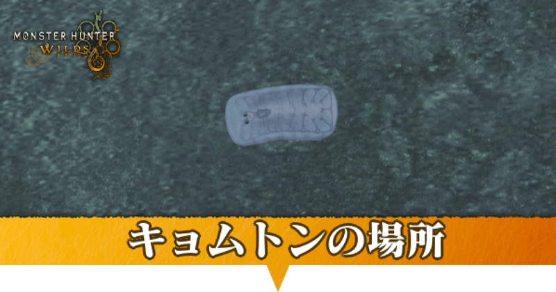 キョムトンはどこにいる？捕獲方法