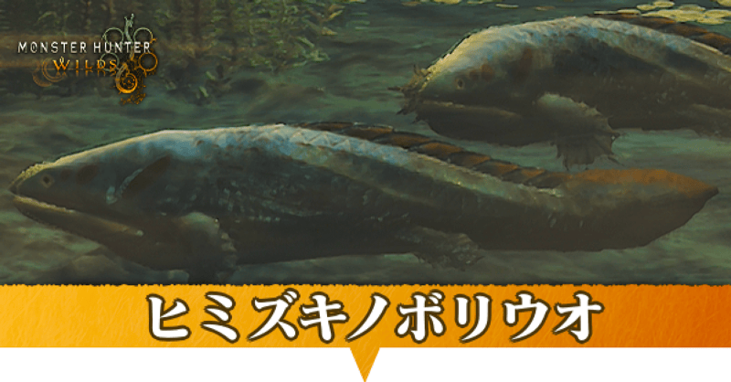 ヒミズキノボリウオはどこにいる？捕獲方法