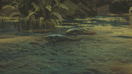 ヒミズキノボリウオの効果と使い方