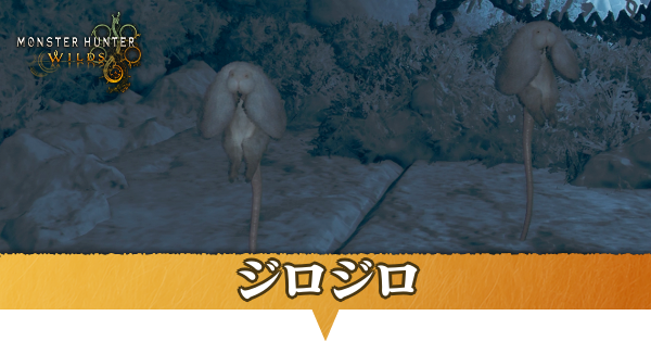 ジロジロはどこにいる？捕獲方法