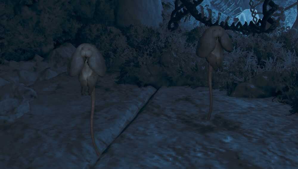 ジロジロの効果と使い方