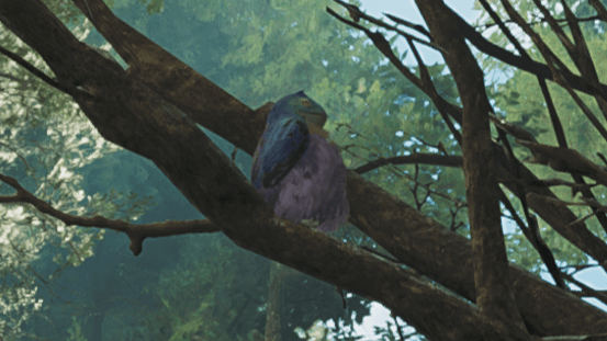 ビセイウタイズクの効果と使い方