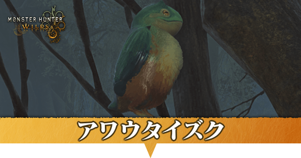 アワウタイズクはどこにいる？捕獲方法