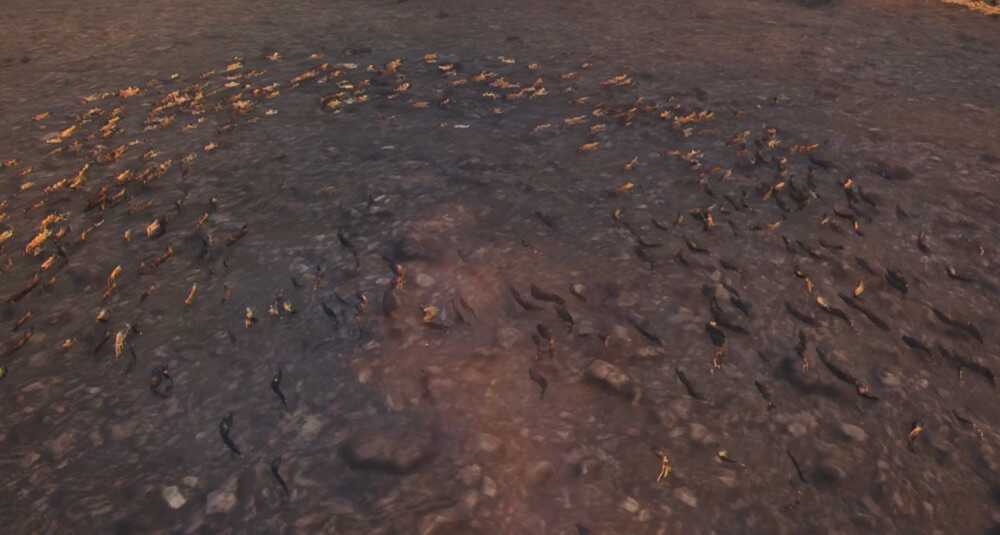 ホシクズイクチスの効果と使い方