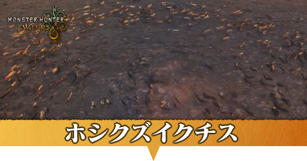 ホシクズイクチスはどこにいる？捕獲方法