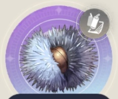 ミズうにの画像