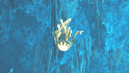 ハナミアゲの効果と使い方