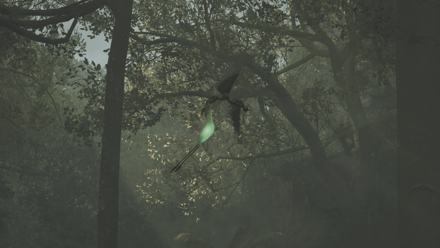 キザシヤンマの効果と使い方