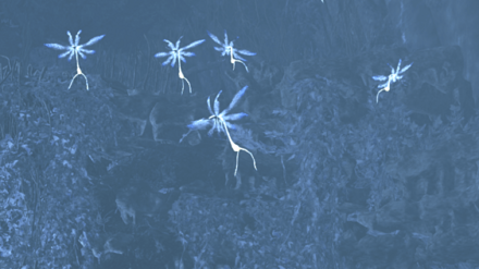 ハナヒラムシの効果と使い方