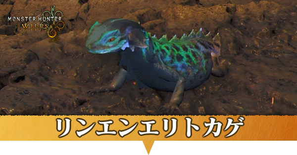 リンエンエリトカゲはどこにいる？捕獲方法