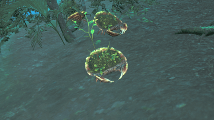 モリサカズキガニの効果と使い方