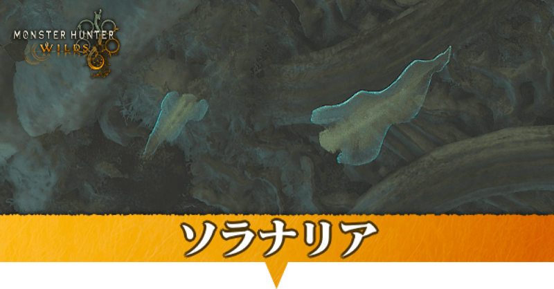 ソラナリアはどこにいる？捕獲方法