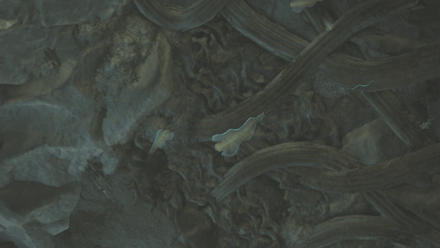 ソラナリアの効果と使い方