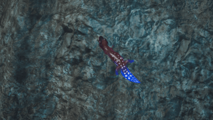 クラヤミゲッコーの効果と使い方