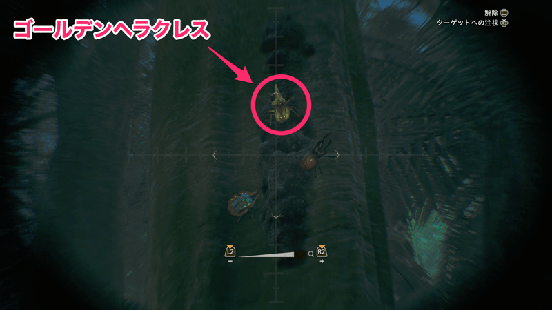 木の蜜に集まっている様子