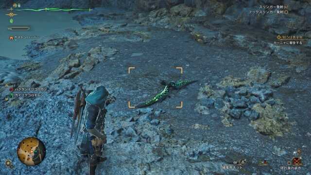 エリア8の出現位置