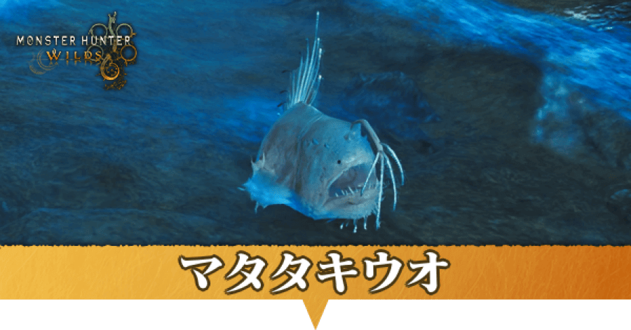 マタタキウオはどこにいる？捕獲方法