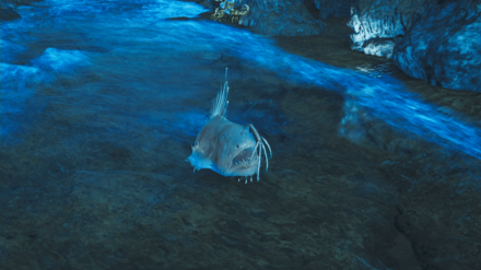 マタタキウオの効果と使い方