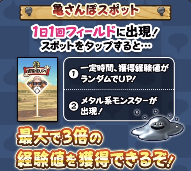 亀スポットとは