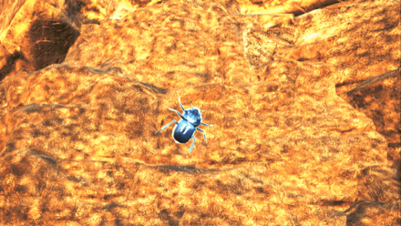 にが虫の効果と使い方