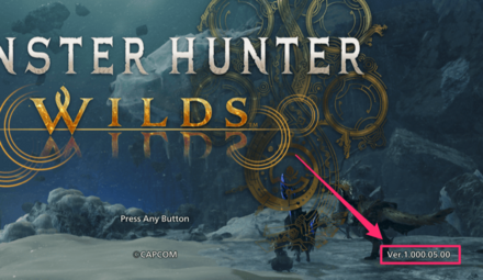 修正パッチバージョン確認