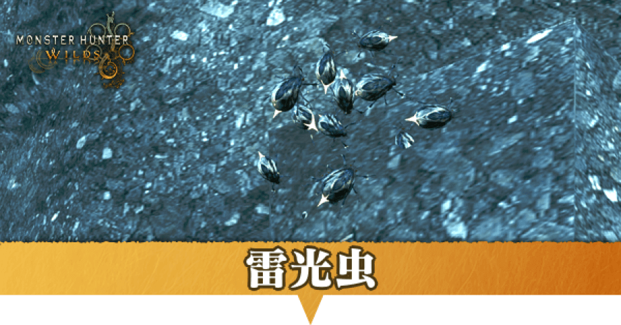 雷光虫はどこにいる？捕獲方法