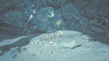 大雷光虫の効果と使い方