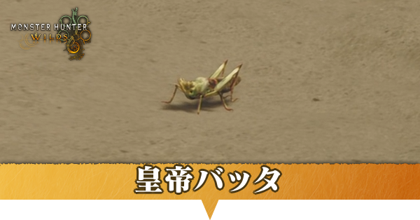 皇帝バッタはどこにいる？捕獲方法