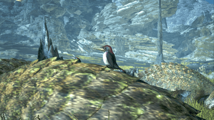 スナチリュウツツキの効果と使い方