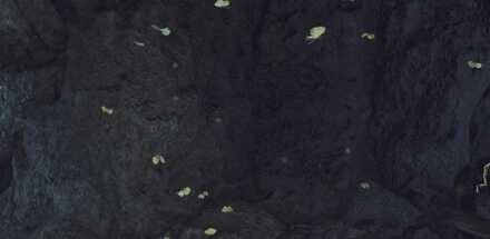 ヨツバカゲロウ見た目