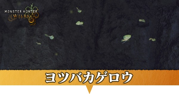 ヨツバカゲロウはどこにいる？捕獲方法