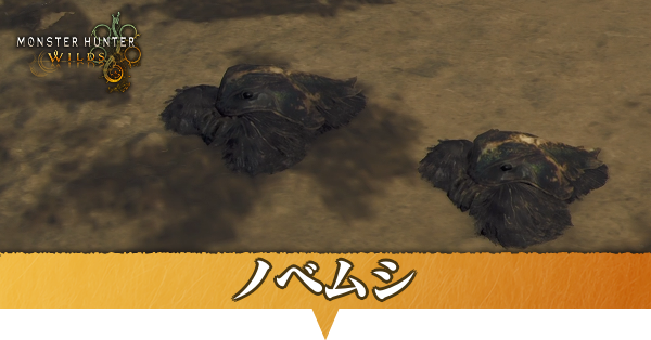 ノベムシはどこにいる？捕獲方法