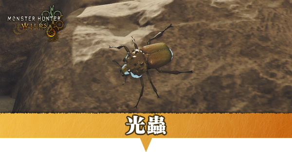 光蟲はどこにいる？捕獲方法