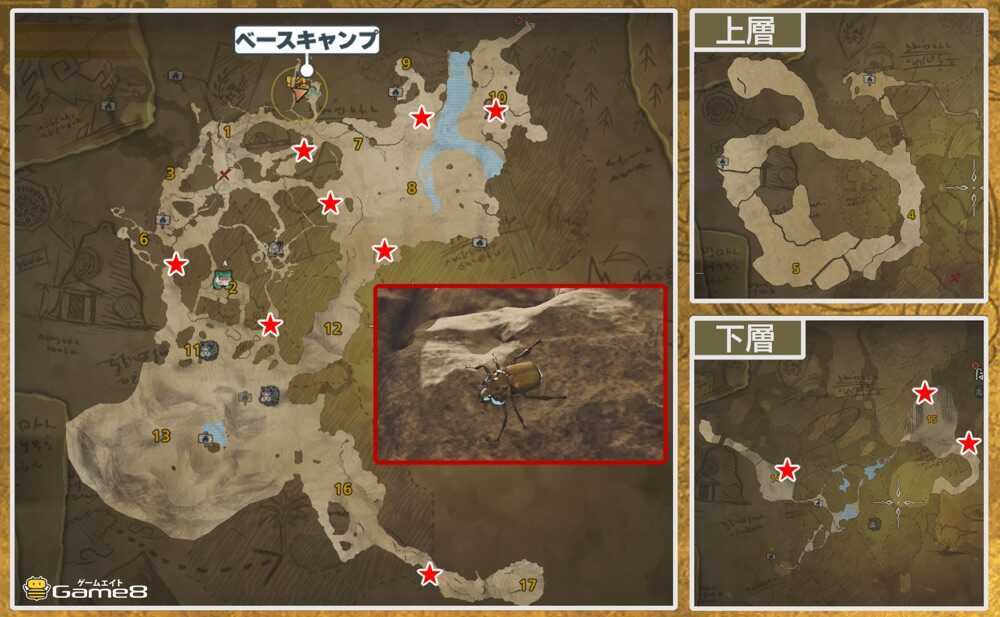 隔ての砂原の光蟲の場所