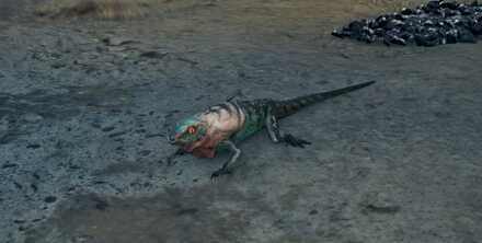 ツメコミエリトカゲの効果と使い方