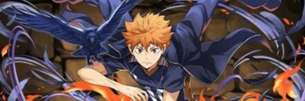 【12278】日向翔陽