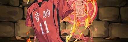 【12325】灰羽のユニフォーム