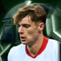 HPニコラ・ザレフスキ(03/17)画像