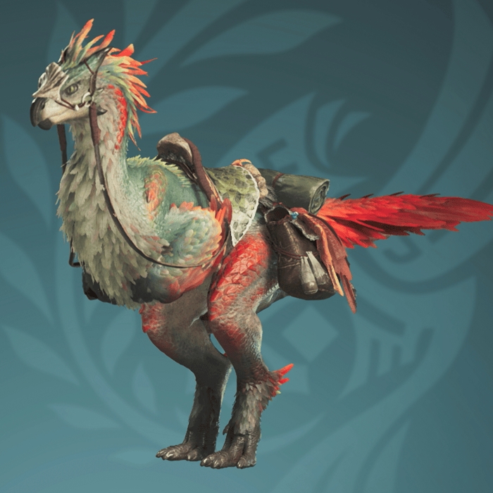 セクレト羽毛外