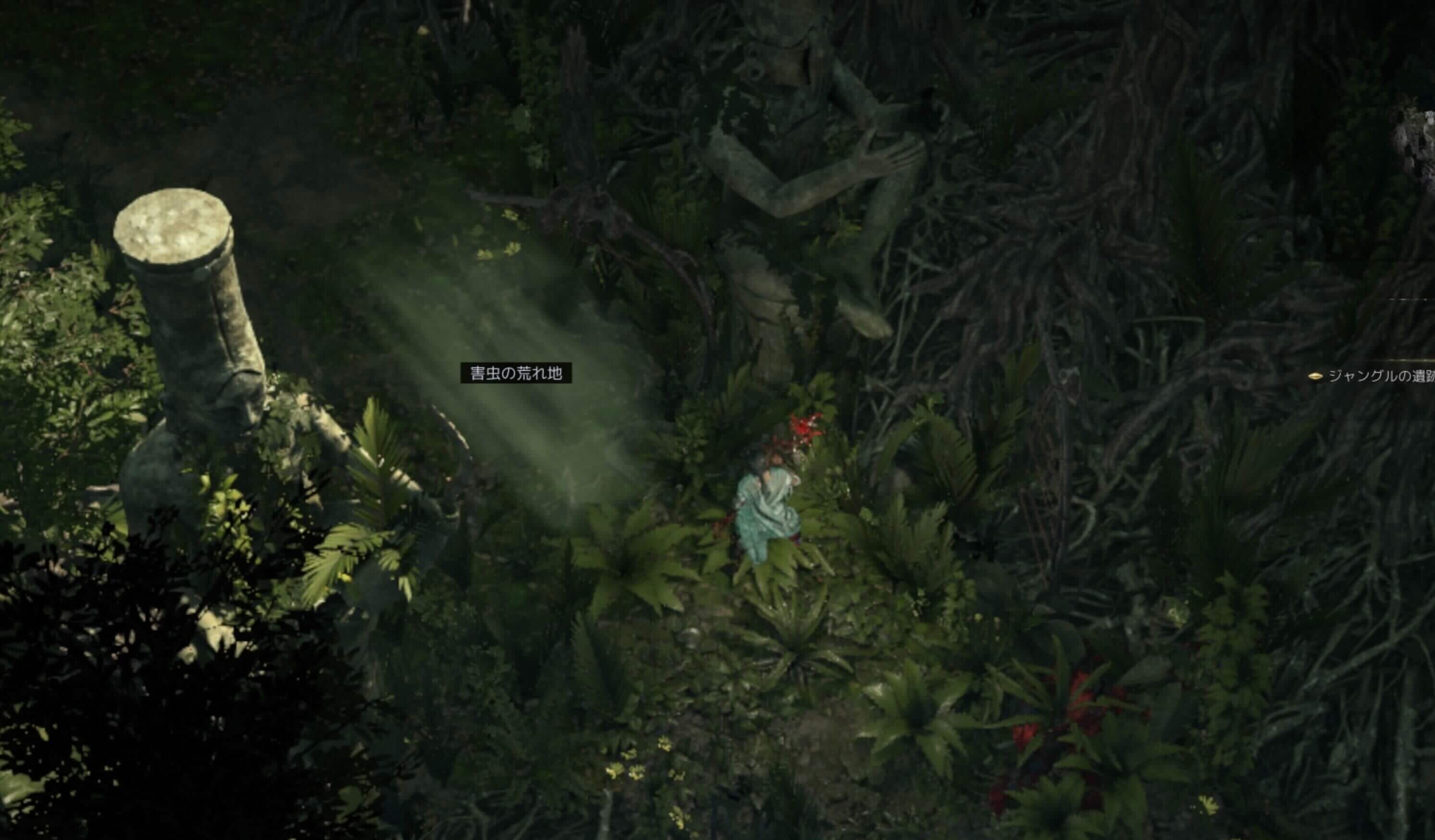 ジャングルの遺跡から害虫の荒れ地まで移動