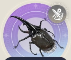 キングカリバンカブトの画像