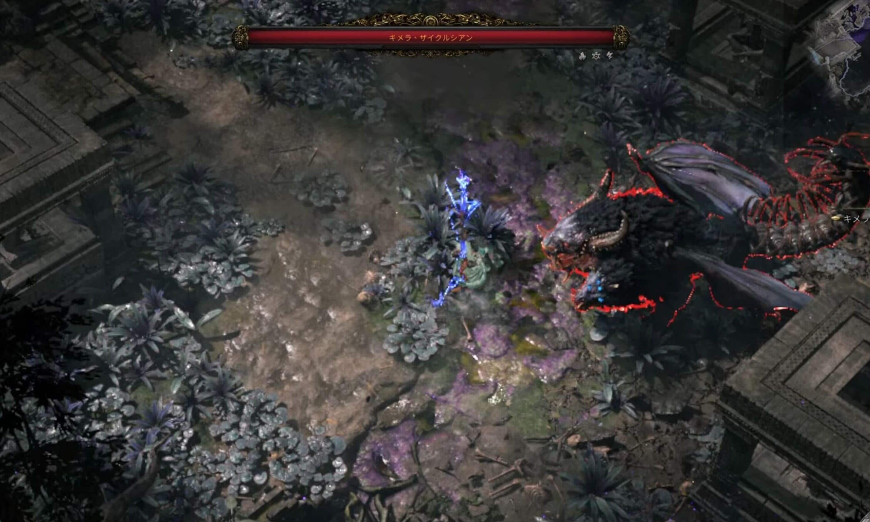 キメラ・ザイクルシアンと戦闘