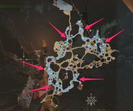 緋の森のガジオスの出現場所