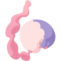 ムシャーナの画像