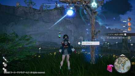 ジップラインの近くでボタンを押す