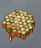 森林ハチの巣画像