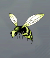 フロールビー画像